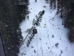 ++ Albero su cabinovia val Gardena, sfiorata tragedia ++