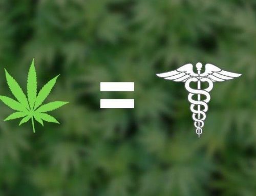 Cannabis terapeutica, diritto alla salute negato