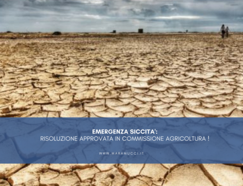 Emergenza siccità: risoluzione approvata in Commissione Agricoltura!